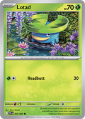 Lotad - 005/094 - Phantasmal Flames Pokemon Card